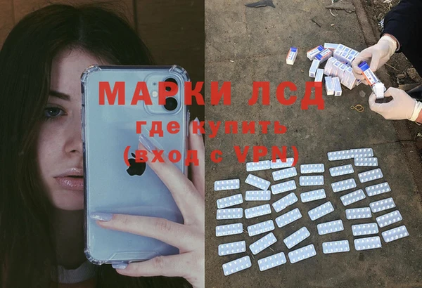 эйфоретик Аркадак