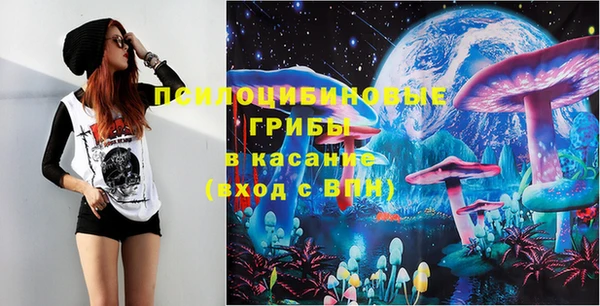 эйфоретик Аркадак