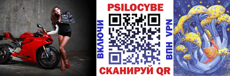 Галлюциногенные грибы Psilocybe  купить  цена  мега онион  Николаевск 