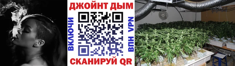 Марихуана сатива  Николаевск 